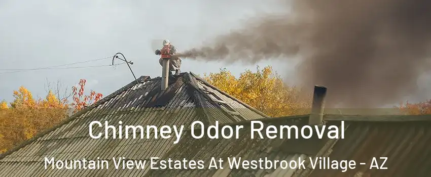 Chimney Odor Removal Mountain View Estates At Westbrook Village - AZ