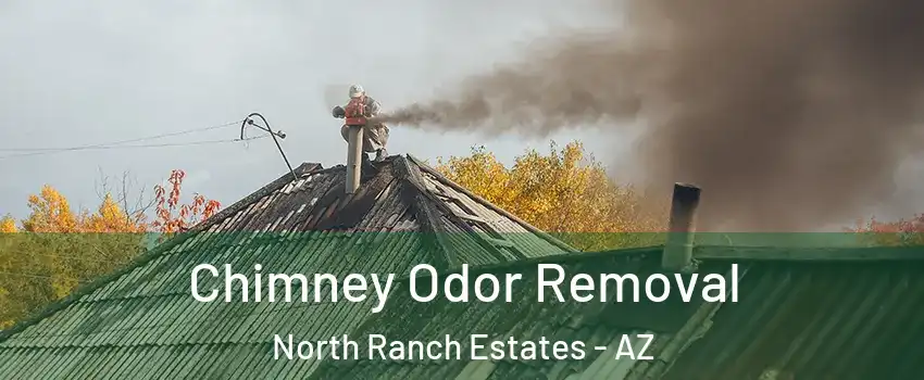 Chimney Odor Removal North Ranch Estates - AZ