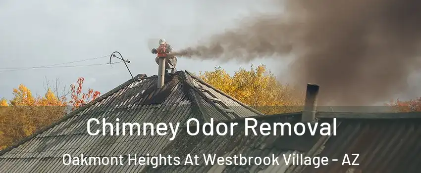 Chimney Odor Removal Oakmont Heights At Westbrook Village - AZ