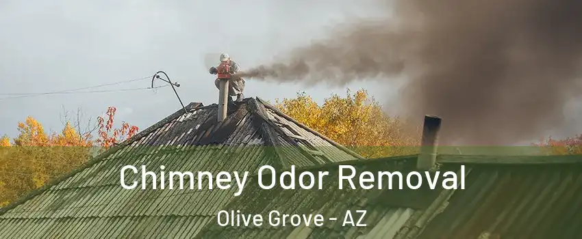 Chimney Odor Removal Olive Grove - AZ