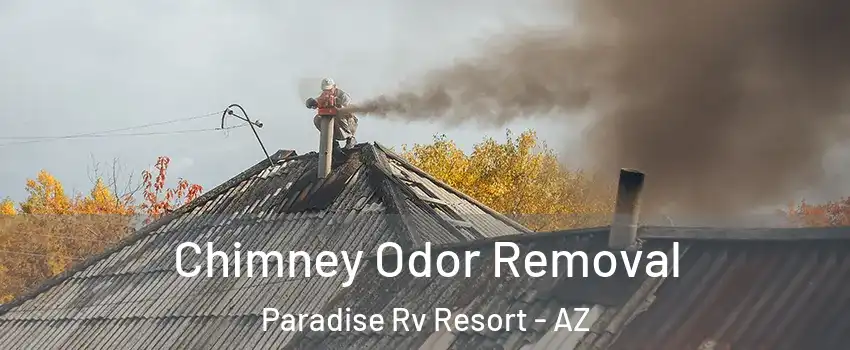 Chimney Odor Removal Paradise Rv Resort - AZ