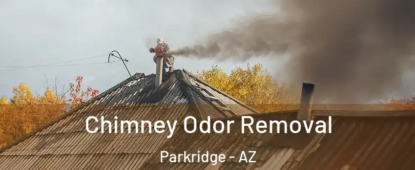 Chimney Odor Removal Parkridge - AZ