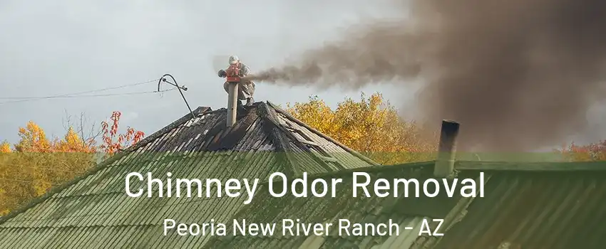 Chimney Odor Removal Peoria New River Ranch - AZ