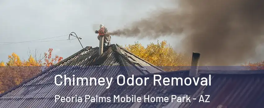 Chimney Odor Removal Peoria Palms Mobile Home Park - AZ