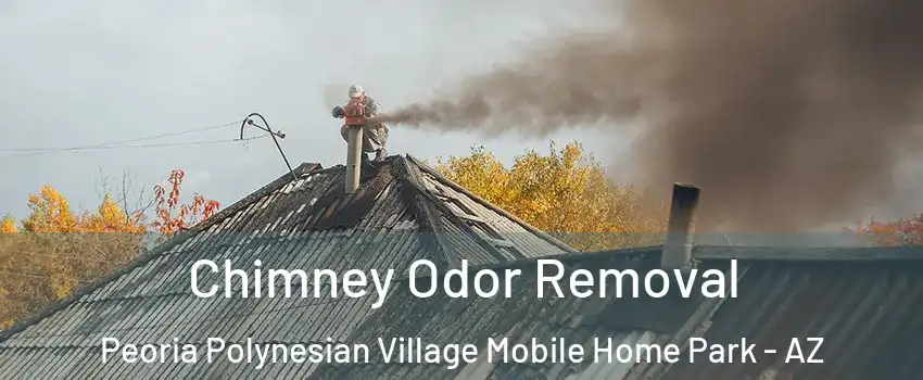 Chimney Odor Removal Peoria Polynesian Village Mobile Home Park - AZ
