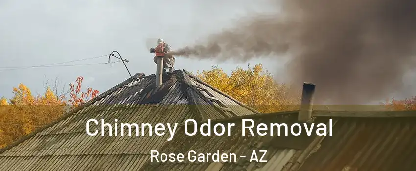 Chimney Odor Removal Rose Garden - AZ