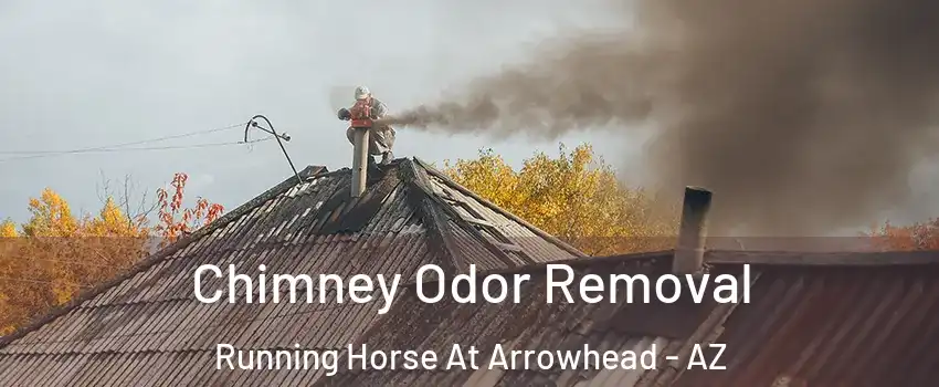 Chimney Odor Removal Running Horse At Arrowhead - AZ