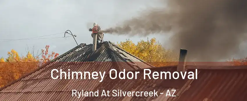Chimney Odor Removal Ryland At Silvercreek - AZ