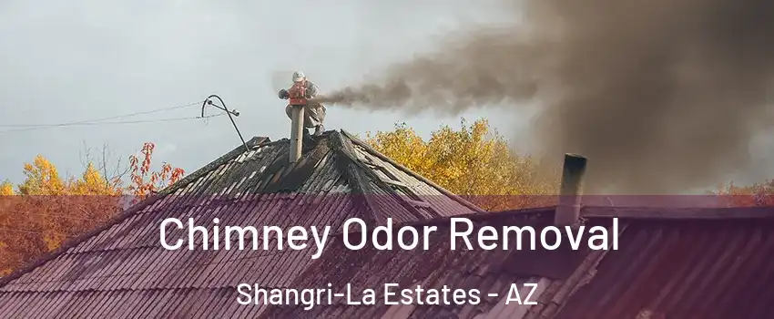 Chimney Odor Removal Shangri-La Estates - AZ
