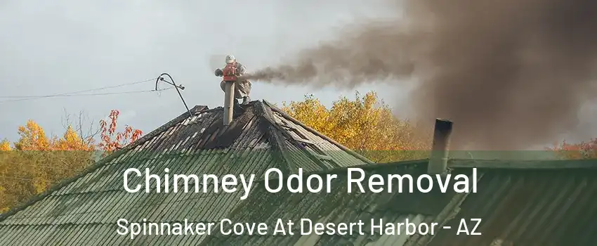 Chimney Odor Removal Spinnaker Cove At Desert Harbor - AZ