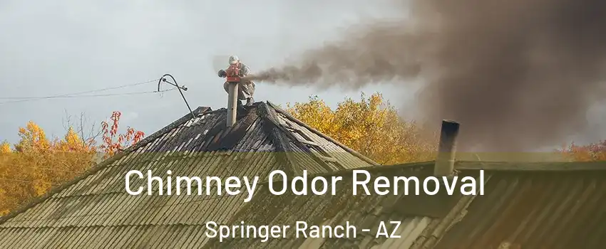 Chimney Odor Removal Springer Ranch - AZ