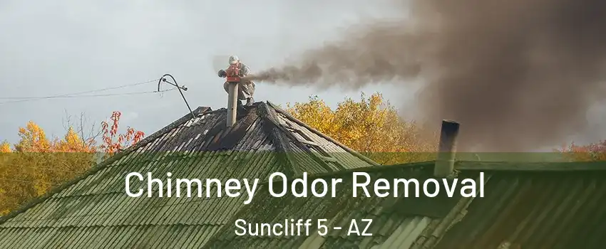 Chimney Odor Removal Suncliff 5 - AZ