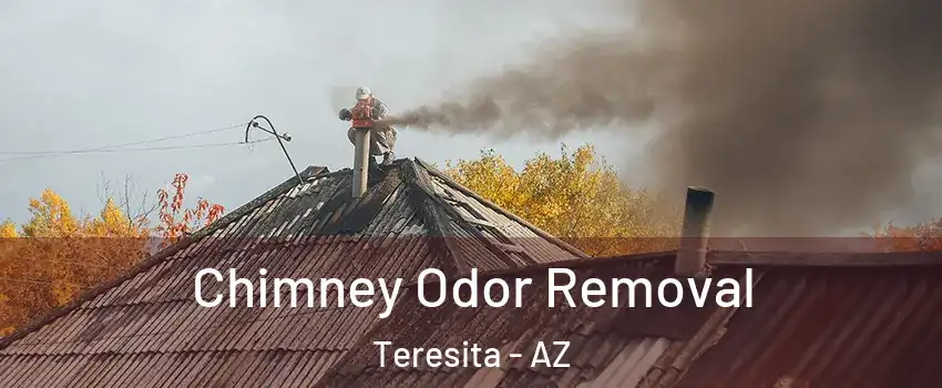 Chimney Odor Removal Teresita - AZ