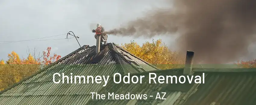 Chimney Odor Removal The Meadows - AZ