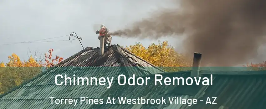 Chimney Odor Removal Torrey Pines At Westbrook Village - AZ