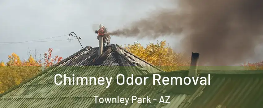 Chimney Odor Removal Townley Park - AZ