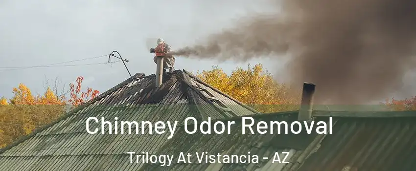 Chimney Odor Removal Trilogy At Vistancia - AZ