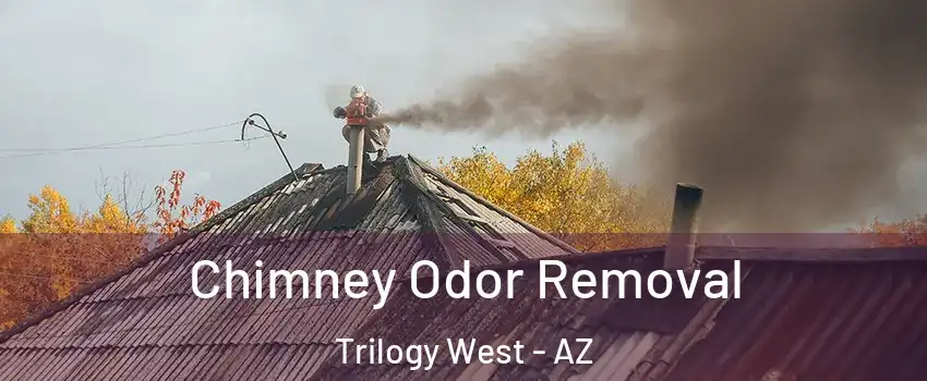 Chimney Odor Removal Trilogy West - AZ