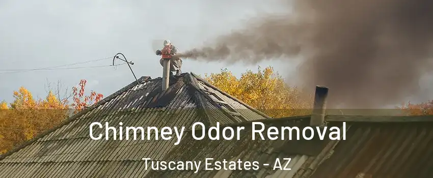 Chimney Odor Removal Tuscany Estates - AZ
