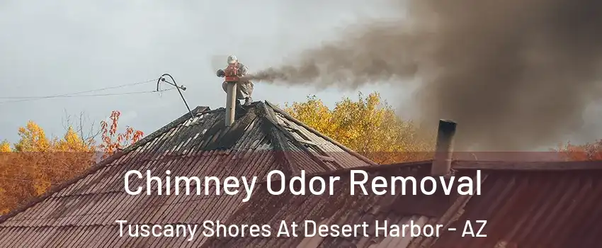 Chimney Odor Removal Tuscany Shores At Desert Harbor - AZ