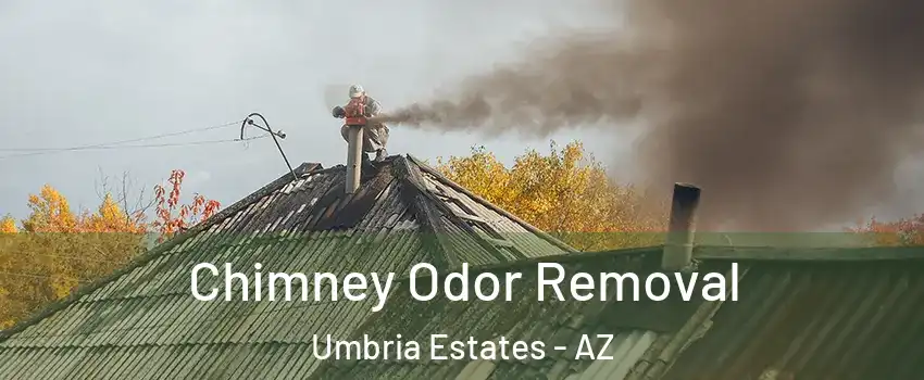 Chimney Odor Removal Umbria Estates - AZ