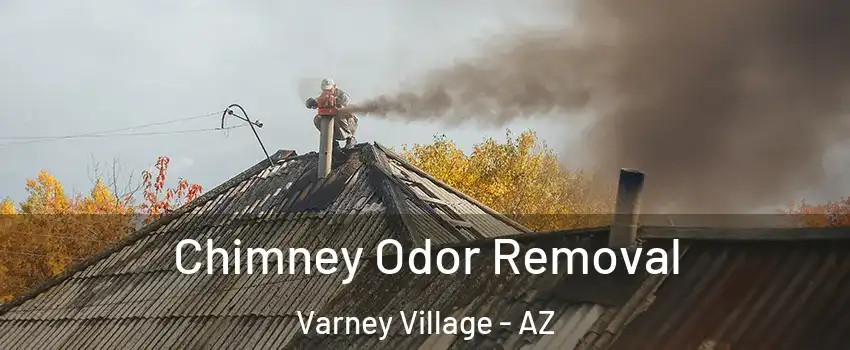 Chimney Odor Removal Varney Village - AZ