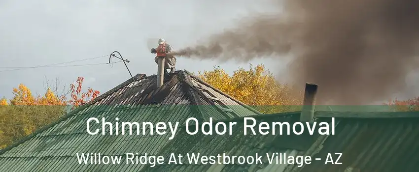 Chimney Odor Removal Willow Ridge At Westbrook Village - AZ
