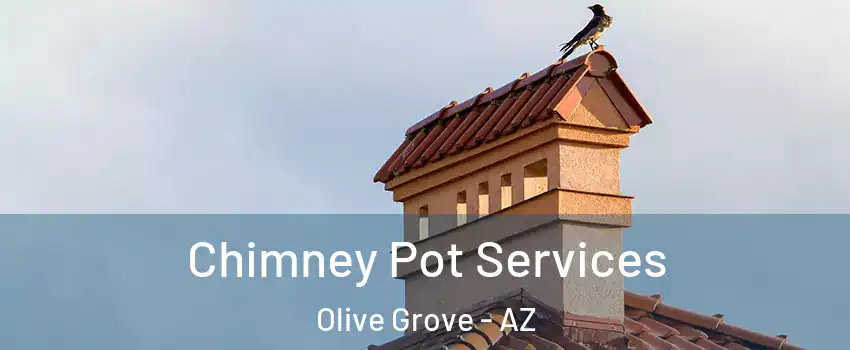 Chimney Pot Services Olive Grove - AZ