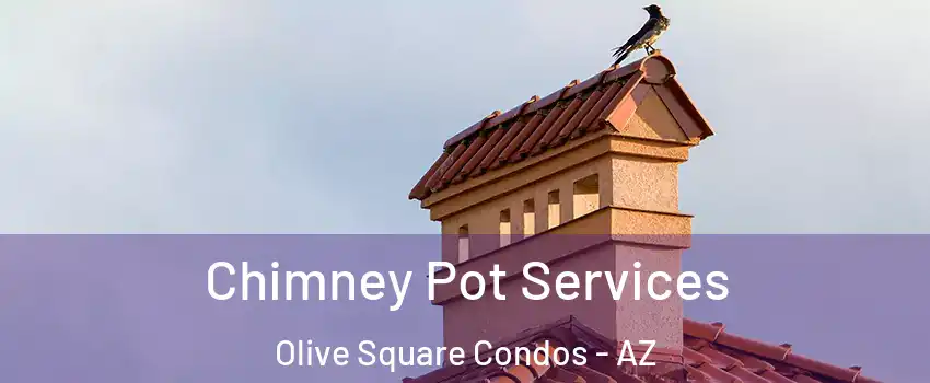 Chimney Pot Services Olive Square Condos - AZ
