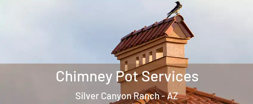 Chimney Pot Services Silver Canyon Ranch - AZ