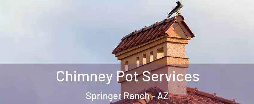 Chimney Pot Services Springer Ranch - AZ