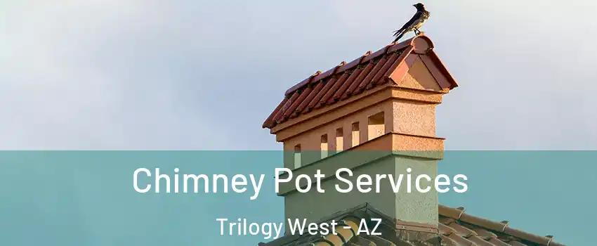 Chimney Pot Services Trilogy West - AZ