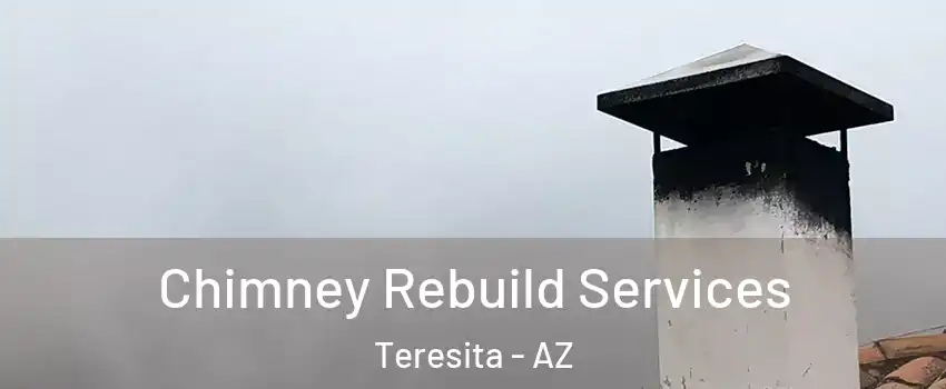 Chimney Rebuild Services Teresita - AZ