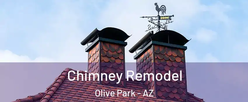Chimney Remodel Olive Park - AZ