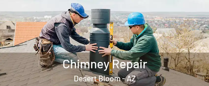 Chimney Repair Desert Bloom - AZ
