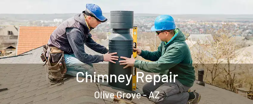 Chimney Repair Olive Grove - AZ