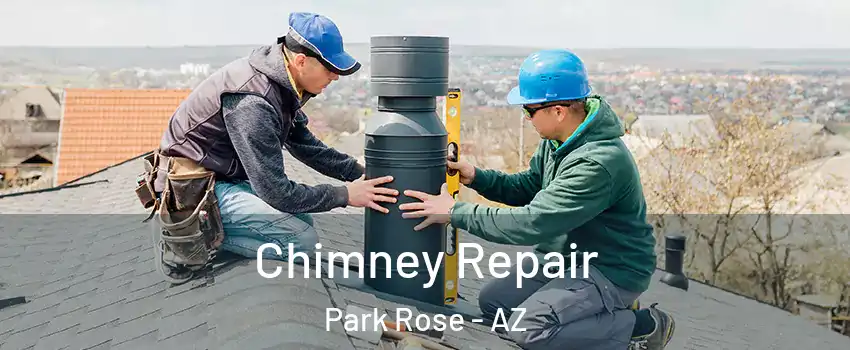 Chimney Repair Park Rose - AZ
