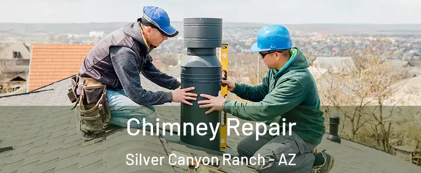 Chimney Repair Silver Canyon Ranch - AZ
