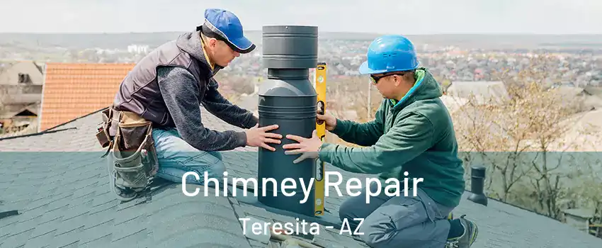 Chimney Repair Teresita - AZ