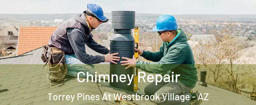 Chimney Repair Torrey Pines At Westbrook Village - AZ