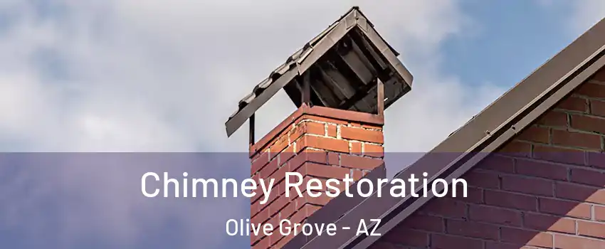 Chimney Restoration Olive Grove - AZ