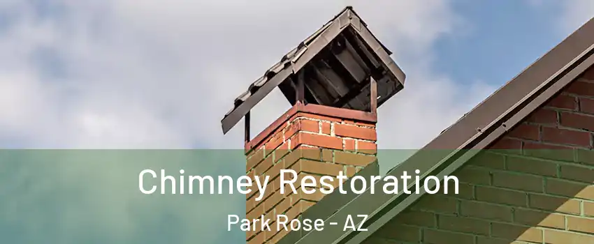 Chimney Restoration Park Rose - AZ