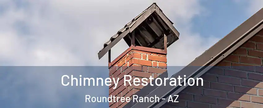 Chimney Restoration Roundtree Ranch - AZ