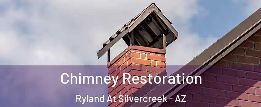 Chimney Restoration Ryland At Silvercreek - AZ