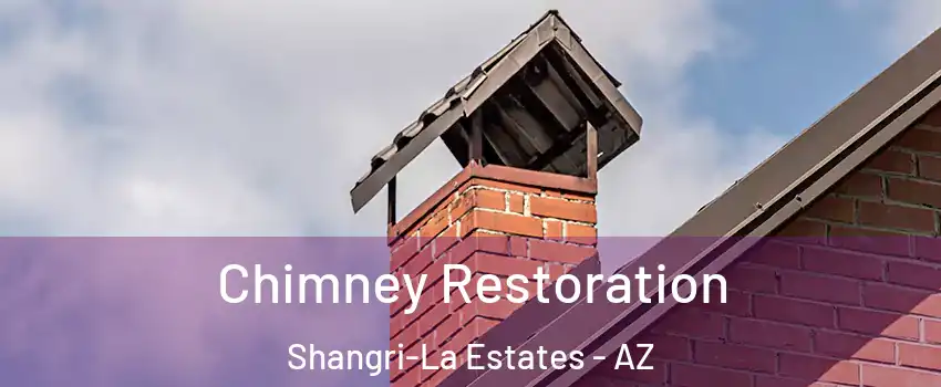 Chimney Restoration Shangri-La Estates - AZ