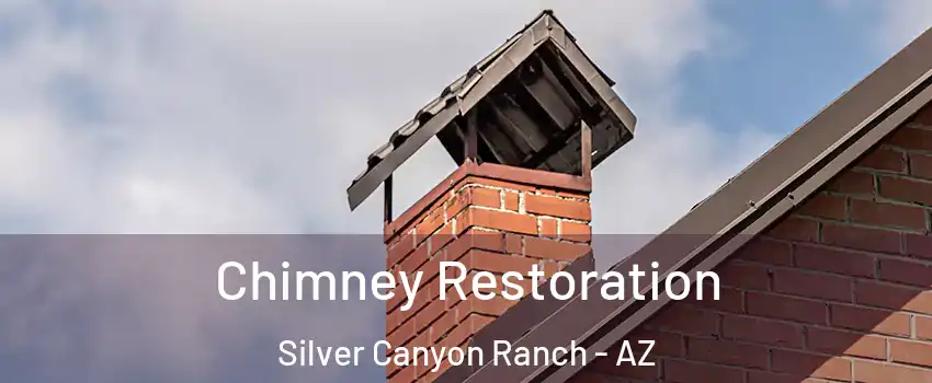 Chimney Restoration Silver Canyon Ranch - AZ