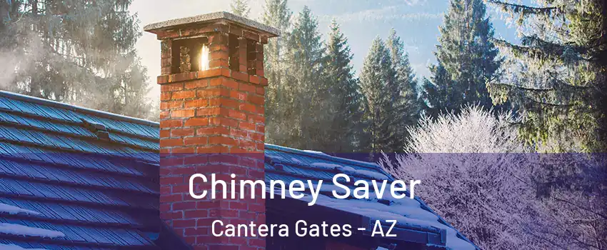 Chimney Saver Cantera Gates - AZ