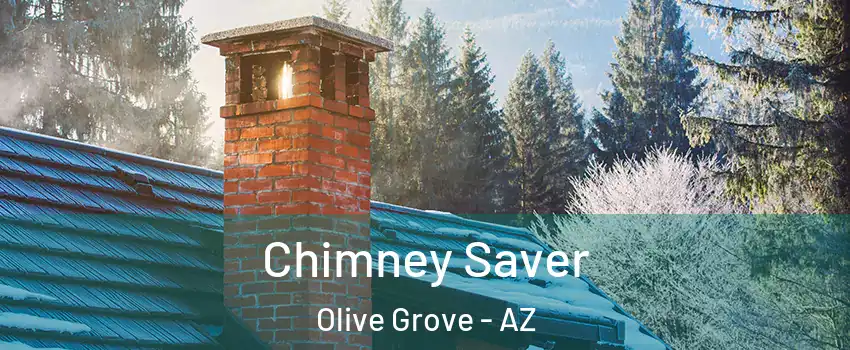 Chimney Saver Olive Grove - AZ