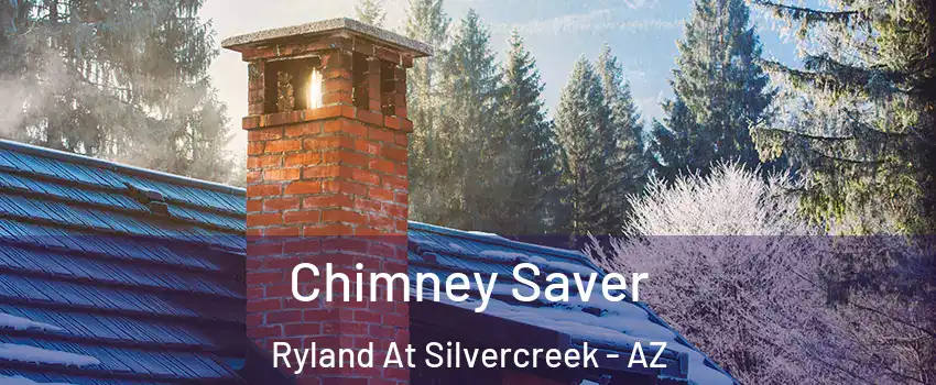 Chimney Saver Ryland At Silvercreek - AZ