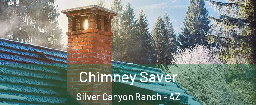Chimney Saver Silver Canyon Ranch - AZ